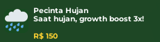 PECINTA HUJAN