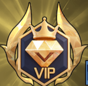 vip